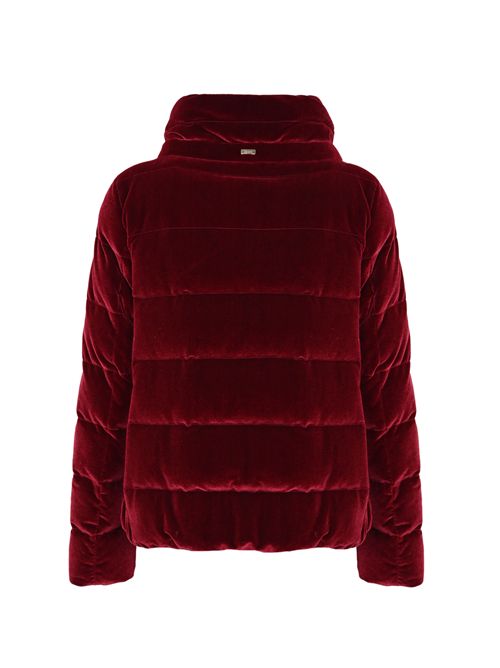 Piumino in velluto Bordeaux Herno | PI002180D 15020S6705